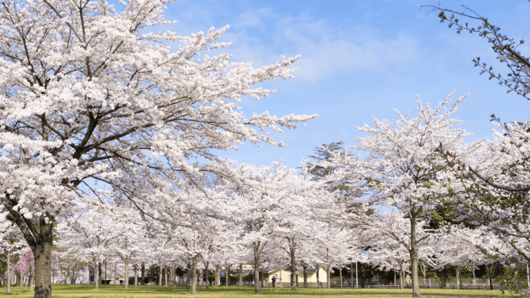 Tsutsujigaoka Park