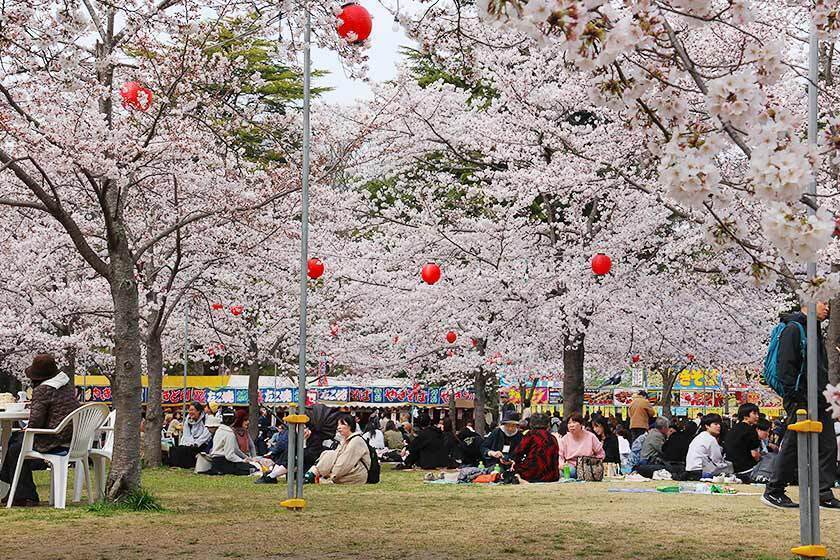 Tsutsujigaoka Park