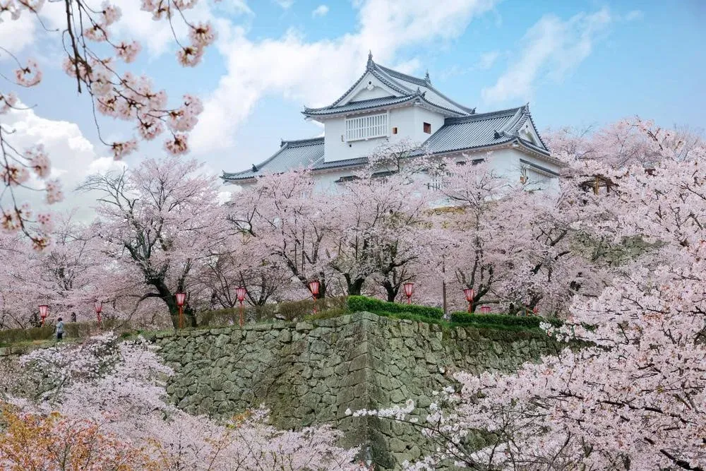 Tsuyama Castle Ruins