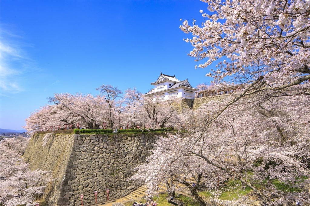 Tsuyama Castle Ruins
