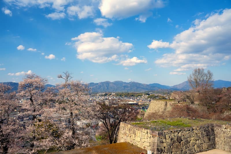 Tsuyama Castle Ruins