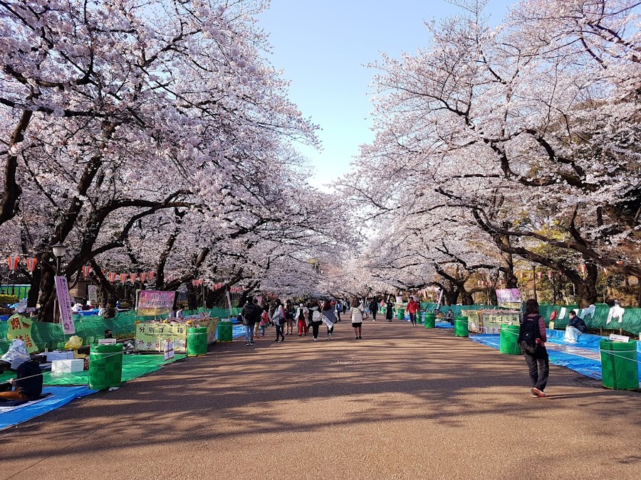 Ueno to Yanaka Walking Route