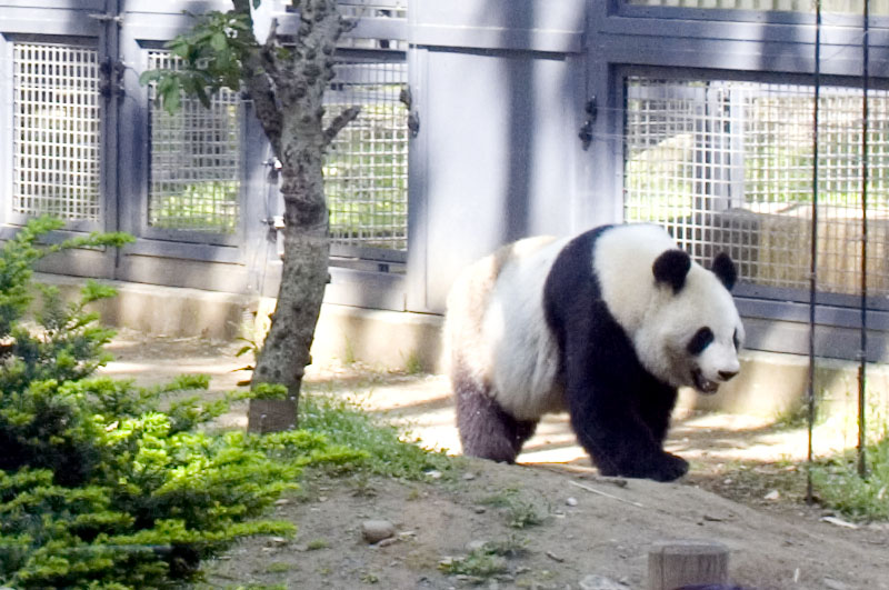 Ueno Zoo