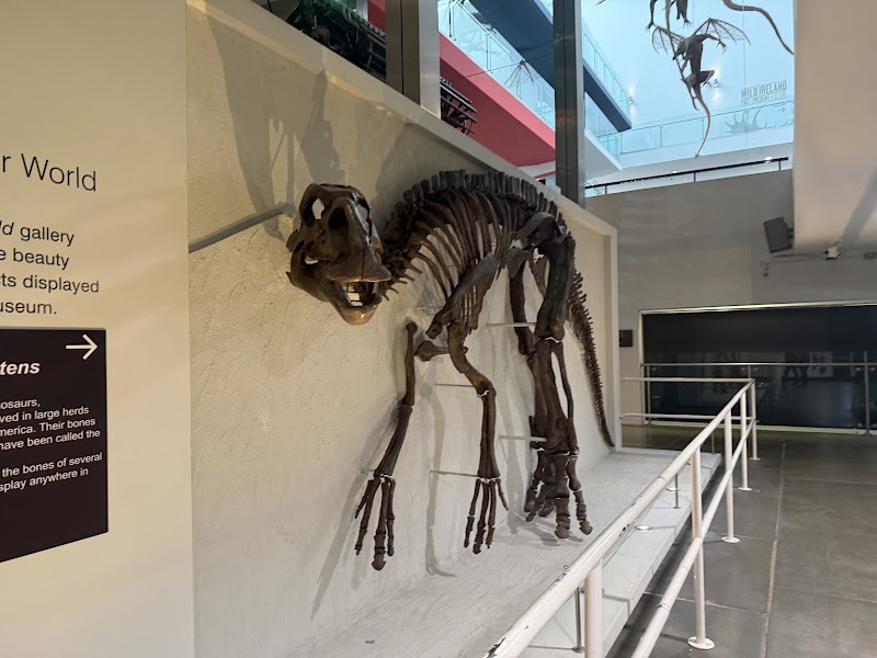 Ulster Museum