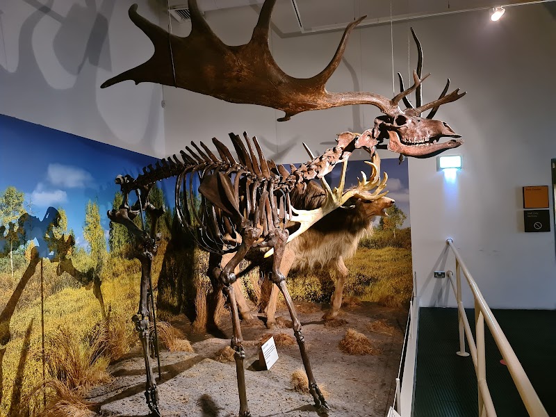 Ulster Museum