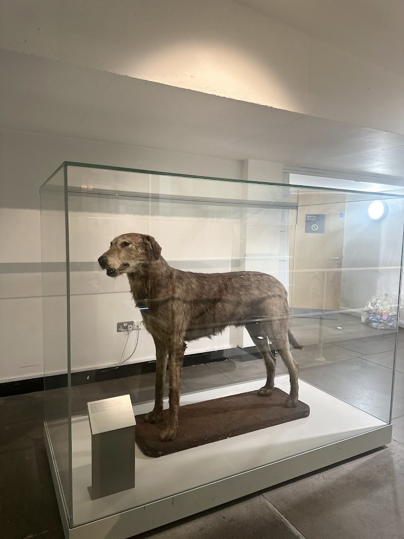 Ulster Museum