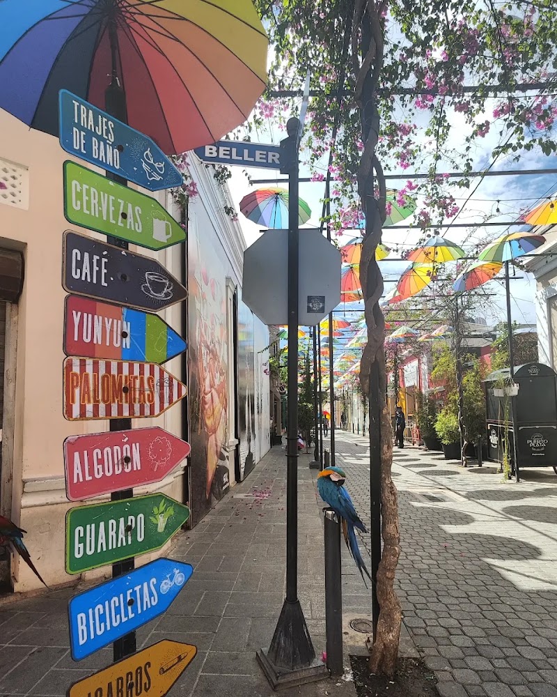 Umbrella Street (Paseo de Doña Blanca)