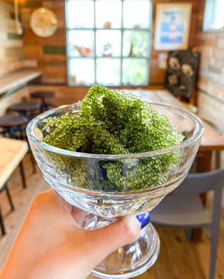 Umibudo (Sea Grapes)