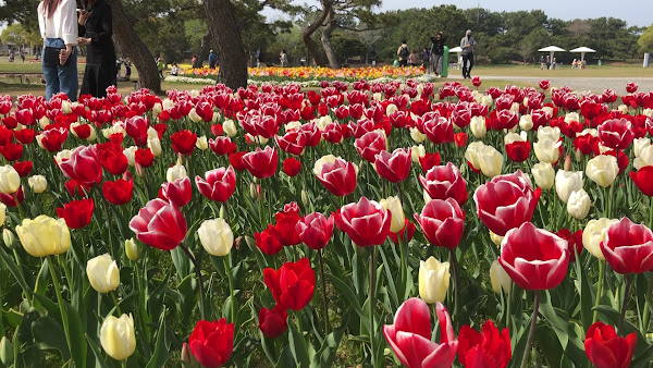 Uminonakamichi Seaside Park