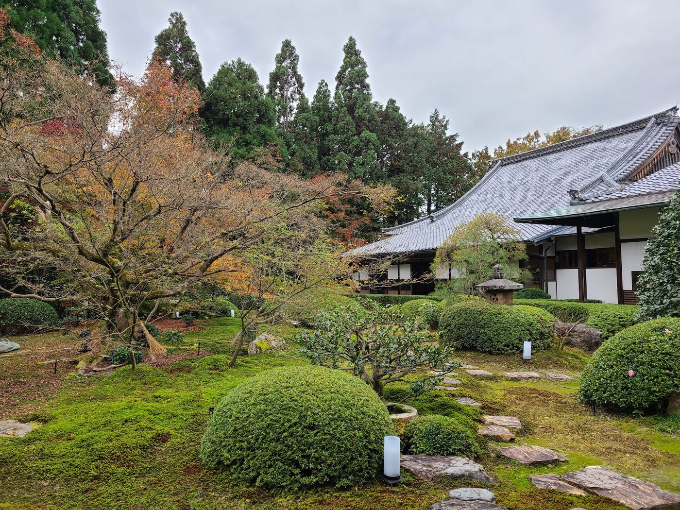 Unryu-in Temple (Framed Gardens)