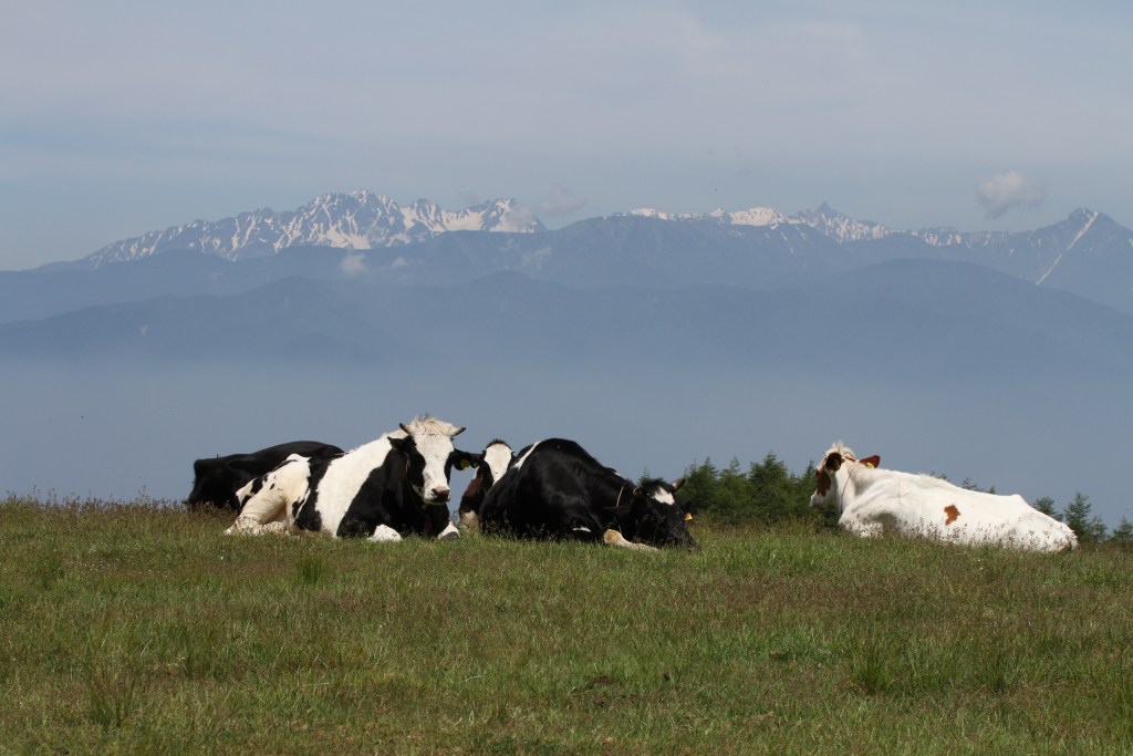 Utsukushigahara Highlands