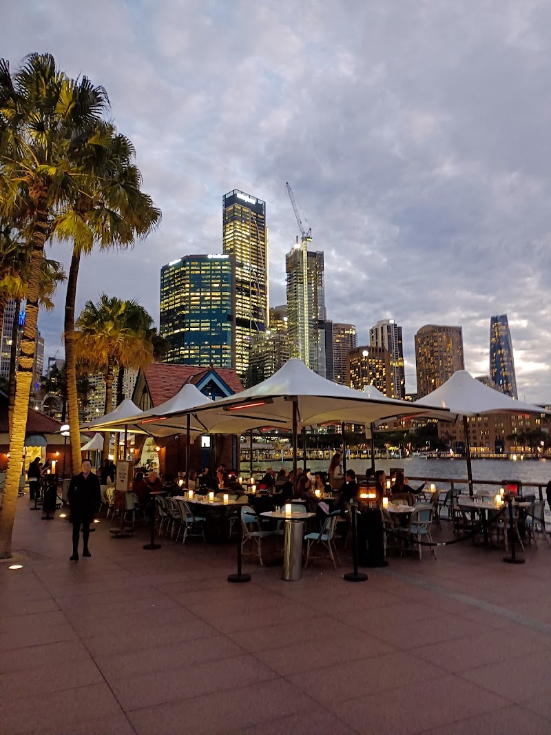 Vivid Sydney