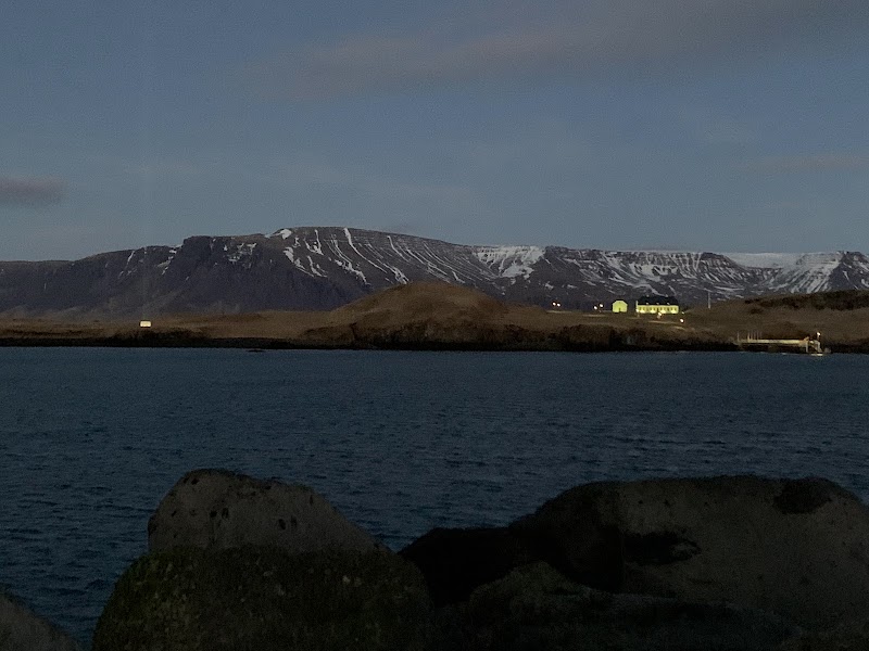 Viðey Island