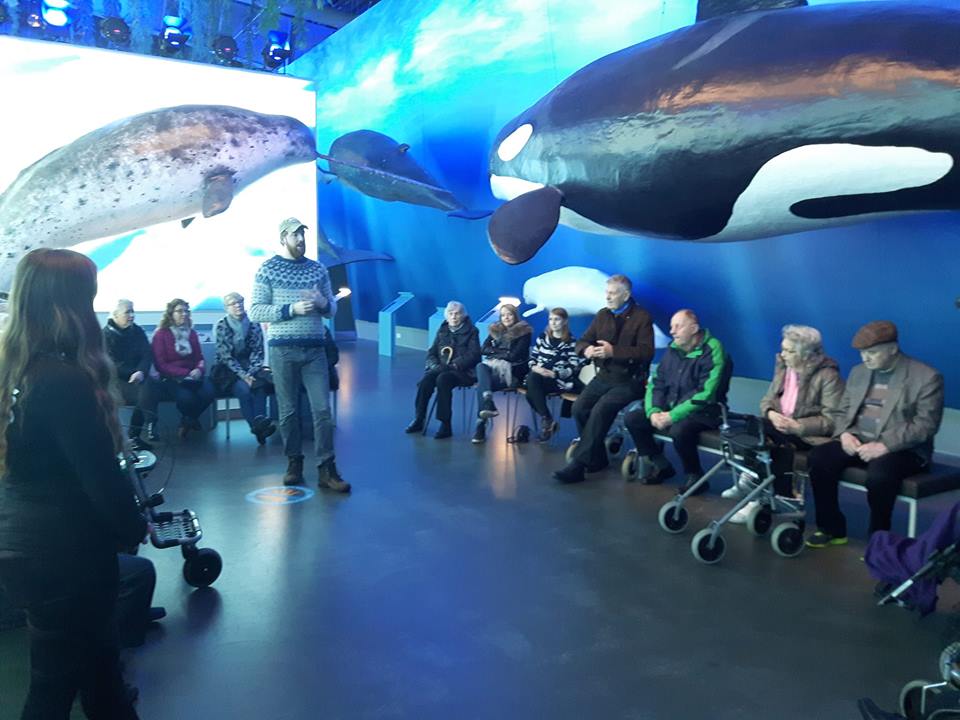 Whales of Iceland Museum
