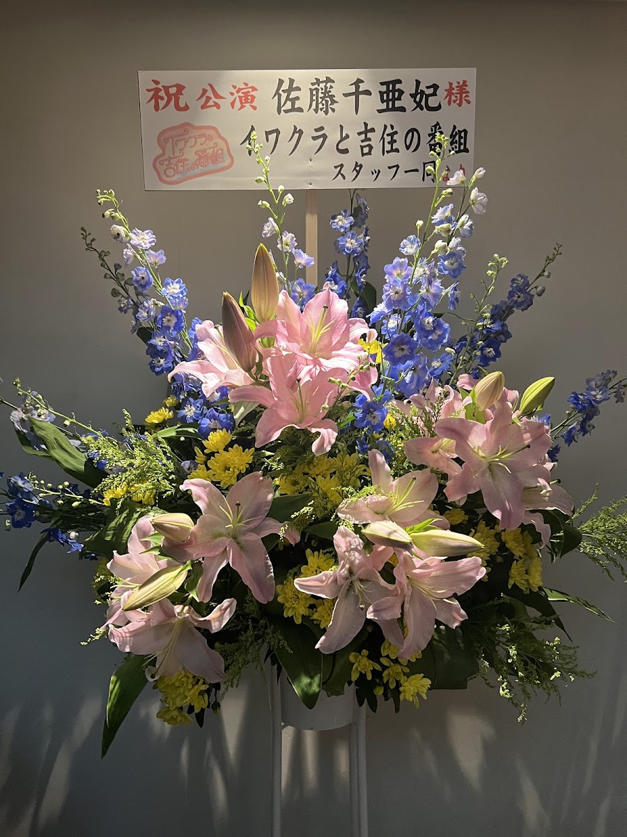 WWW / WWW X
