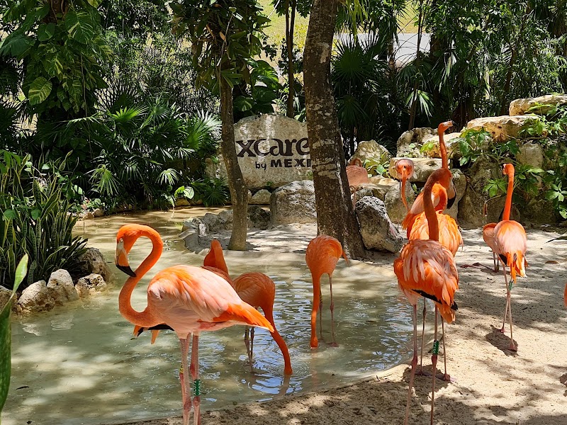 Xcaret Park
