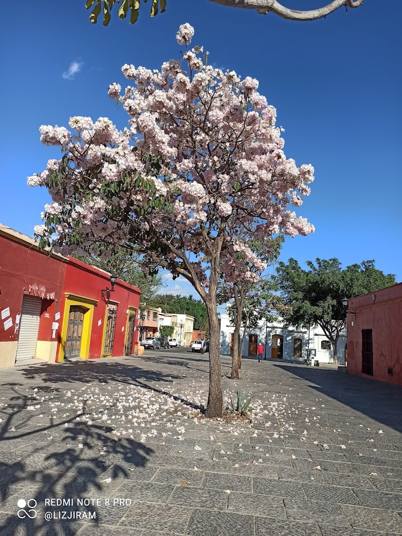 Xochimilco