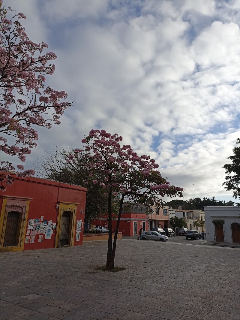 Xochimilco