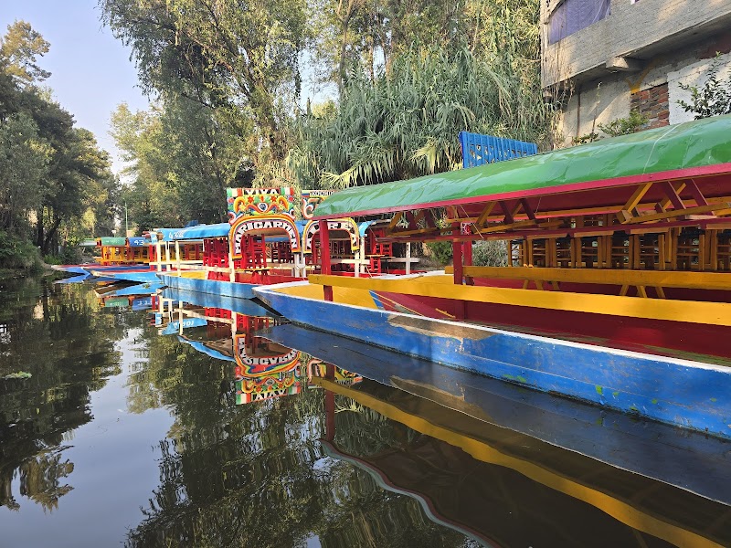 Xochimilco Floating Gardens