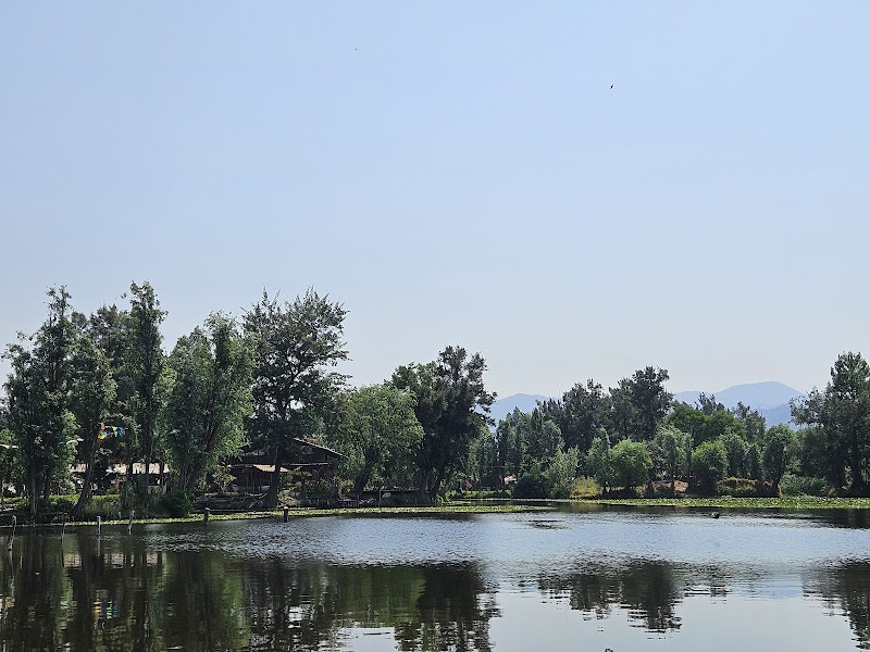 Xochimilco Floating Gardens