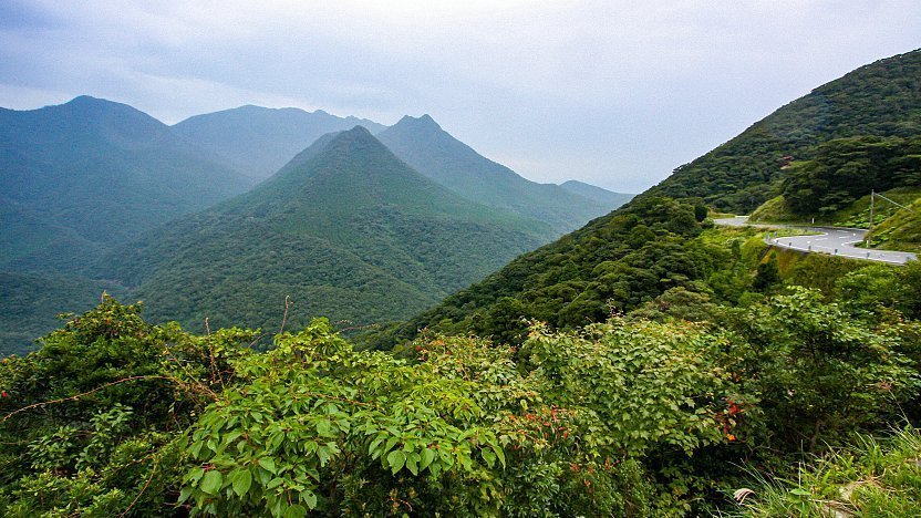 Yakushima Island