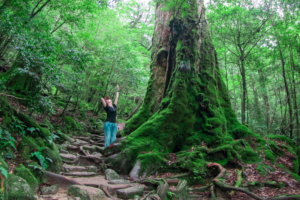 Yakushima Island
