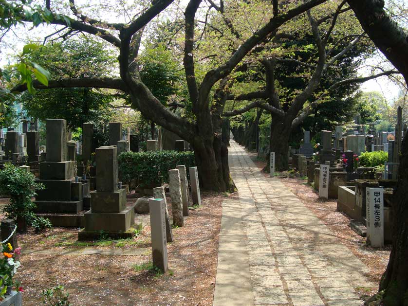 Yanaka Cemetery