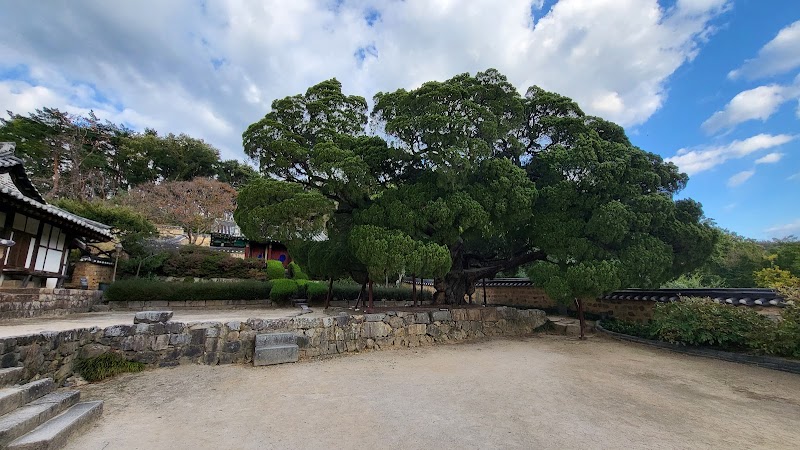 Yangdong Village