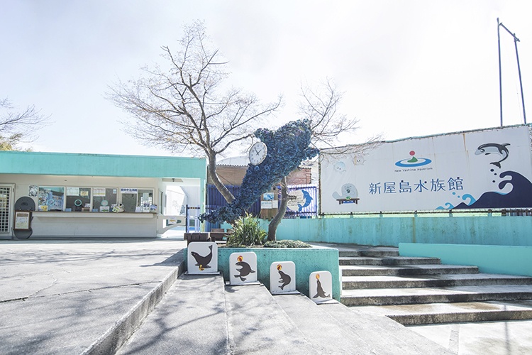 Yashima Aquarium