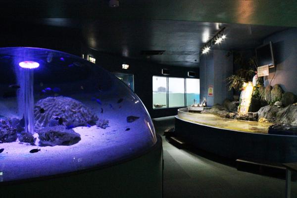 Yashima Aquarium