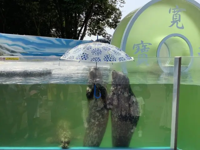 Yashima Aquarium