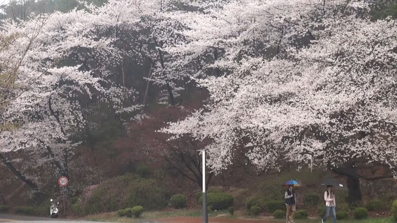 Yeongjongdo Island
