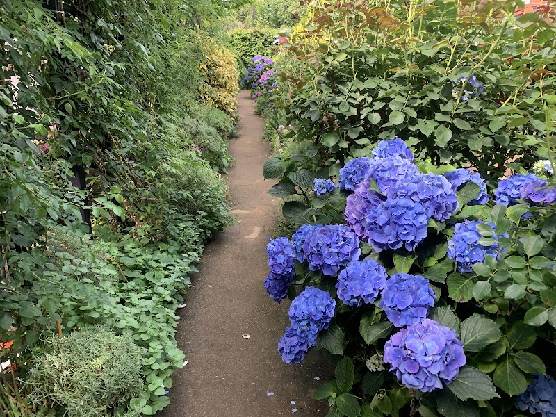 Yokohama English Garden