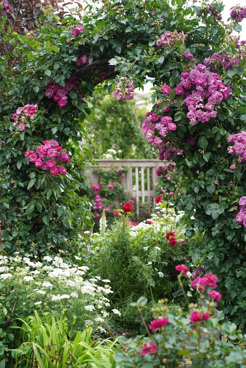 Yokohama English Garden