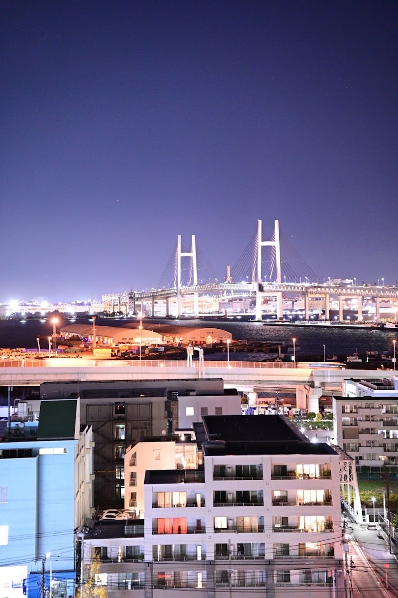 Yokohama Night Views
