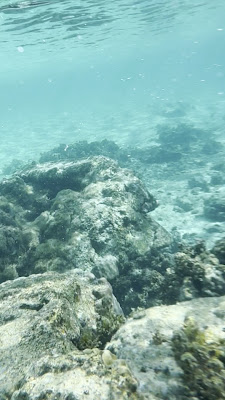 Yonehara Beach