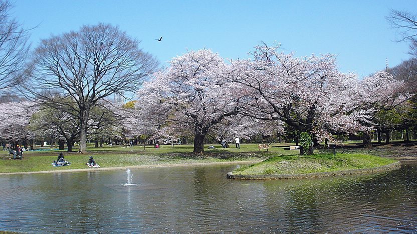 Yoyogi Park
