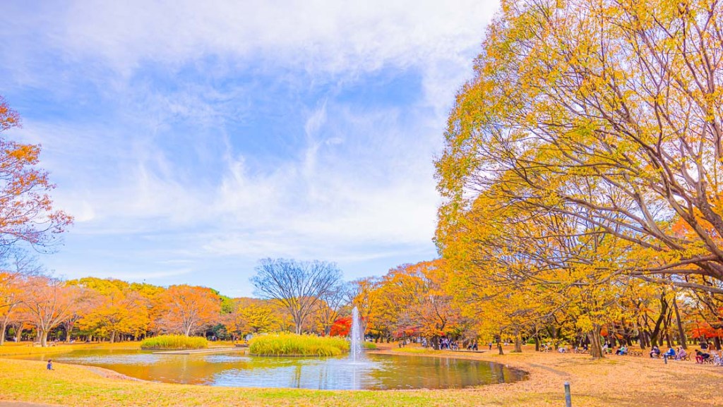 Yoyogi Park