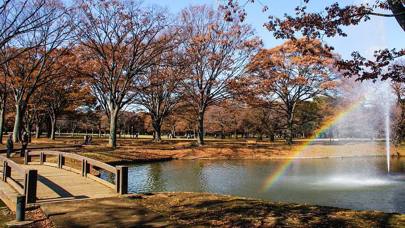 Yoyogi Park