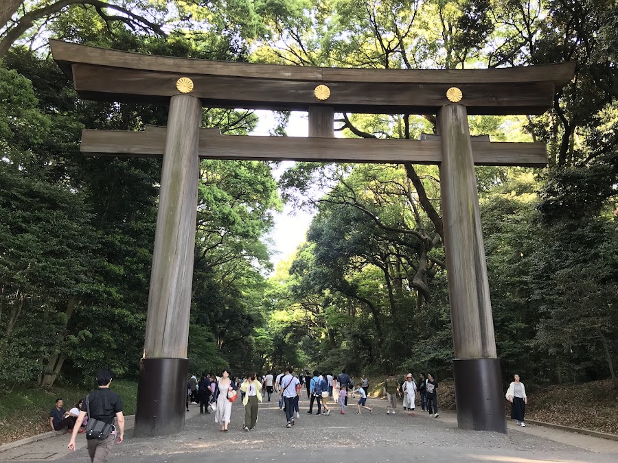 Yoyogi Park Hangout