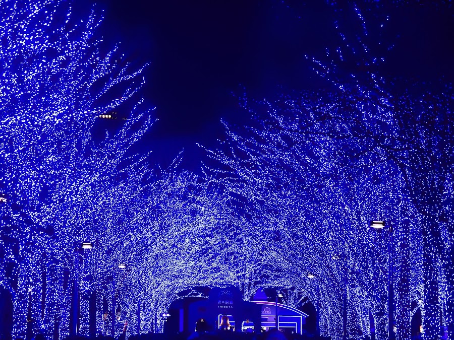 Yoyogi Park Hangout