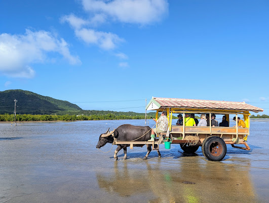 Yubu Island Buffalo Cart