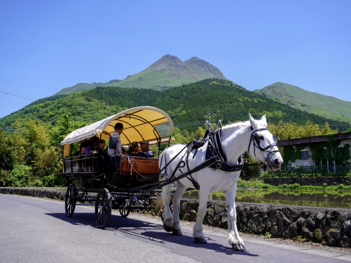 Yufuin Horse Carriage