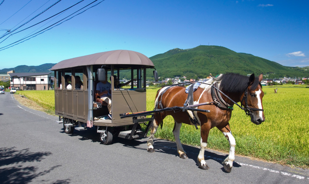 Yufuin Horse Carriage