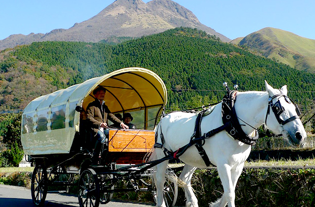 Yufuin Horse Carriage