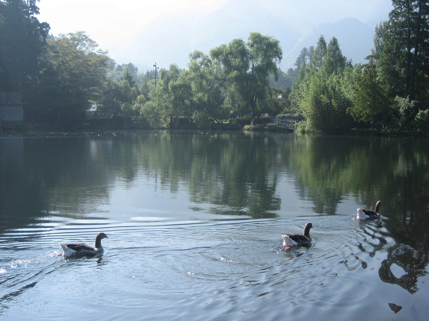 Yufuin Kinrin Lake