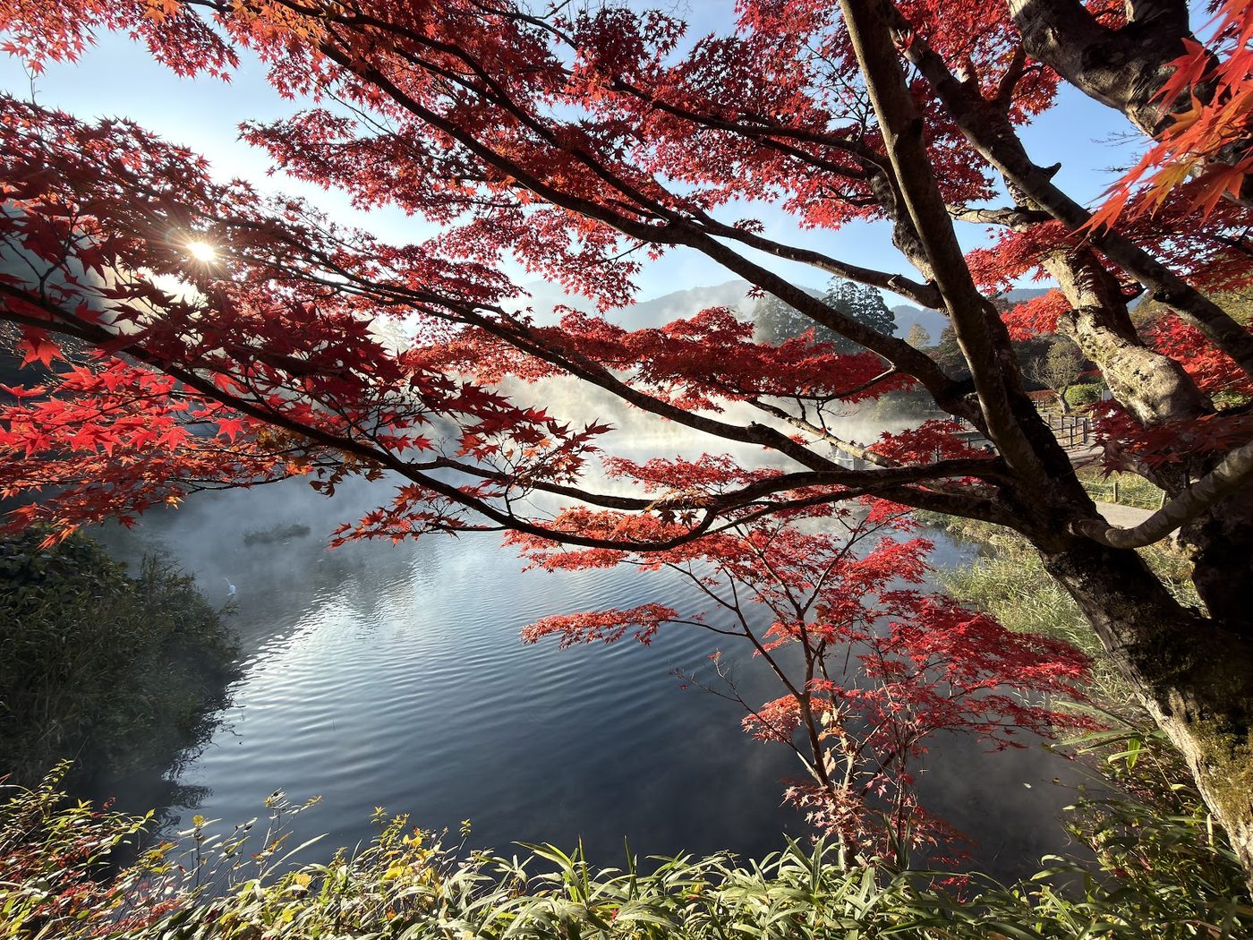 Yufuin Kinrin Lake