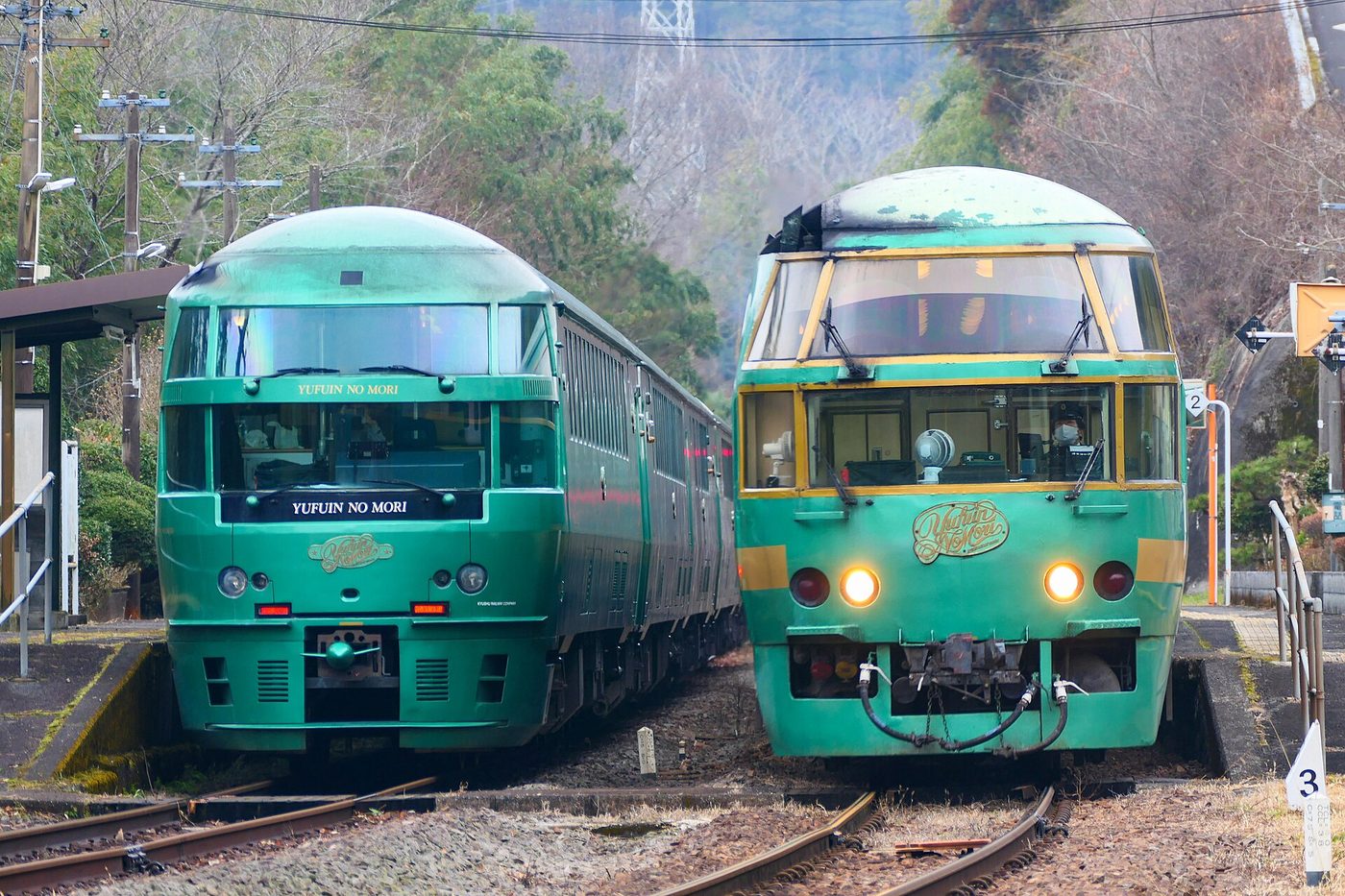 Yufuin no Mori Limited Express