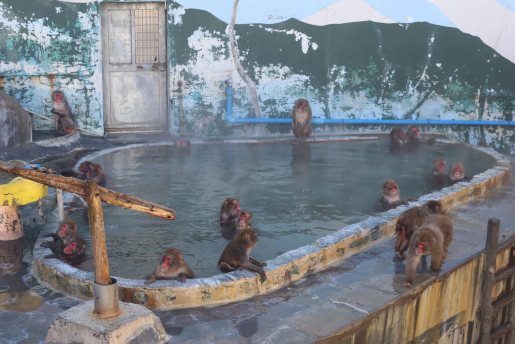 Yunokawa Onsen