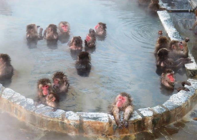 Yunokawa Onsen